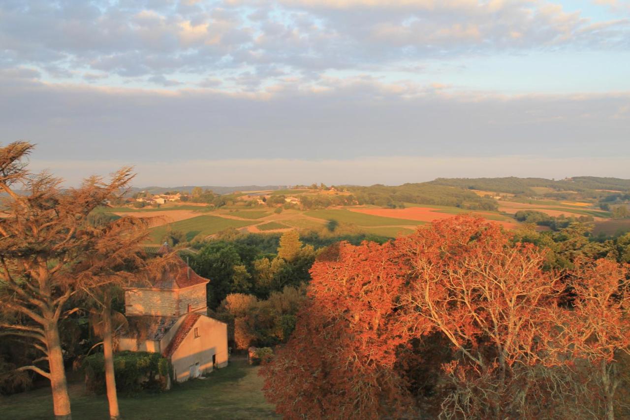 Château de Tauzies, The Originals Relais Gaillac Extérieur photo